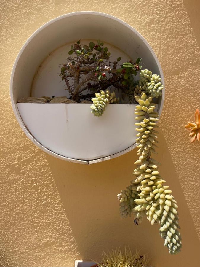 Apartament Eco House Golfinhos Corralejo Zewnętrze zdjęcie